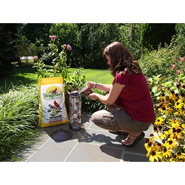 Wagners 76029 Oil Sunflower Seed, 40-Pound Bag