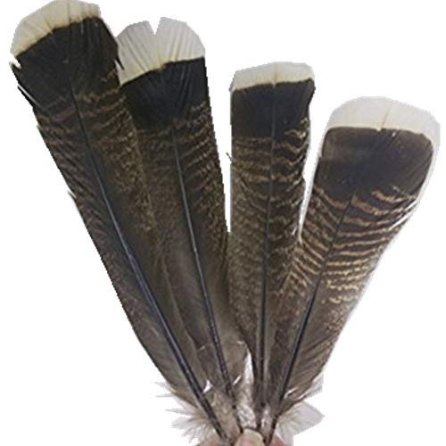 Wholesale 10 Pieces 10-14 Inches / 25-35 cm Natural Turkey Feather...