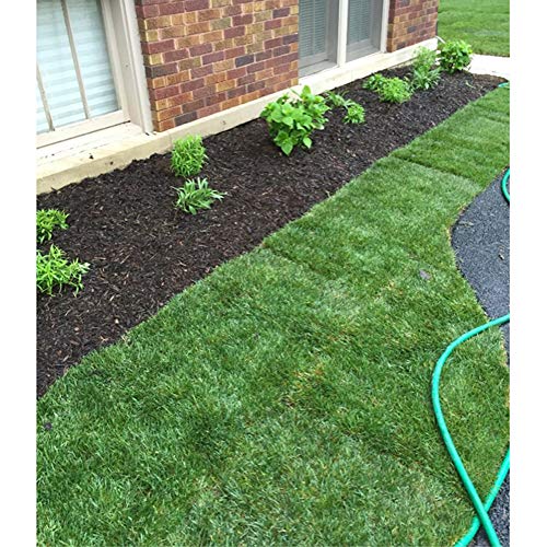 Wakefield Biochar Soil Conditioner - Premium - 1 Cu/Ft Bag 7.5 Ga...
