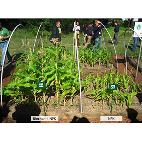 Wakefield Biochar Soil Conditioner - Premium - 1 Cu/Ft Bag 7.5 Ga...