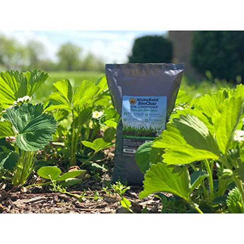 Wakefield Biochar Soil Conditioner - Premium - 1 Cu/Ft Bag 7.5 Ga...