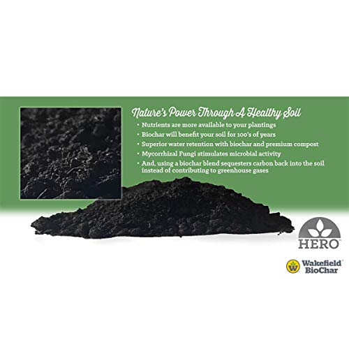 Wakefield Biochar Soil Conditioner - Premium - 1 Cu/Ft Bag 7.5 Ga...