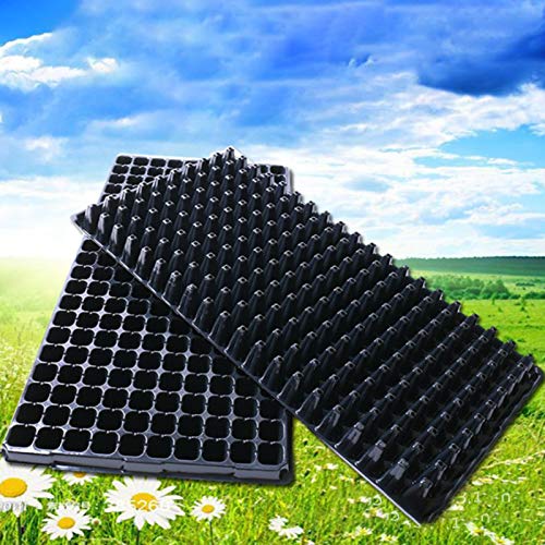 Walbest 5 Pack Plant Germination Trays with Drain Holes, Large Pla...