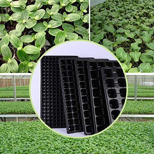 Walbest 5 Pack Plant Germination Trays with Drain Holes, Large Pla...