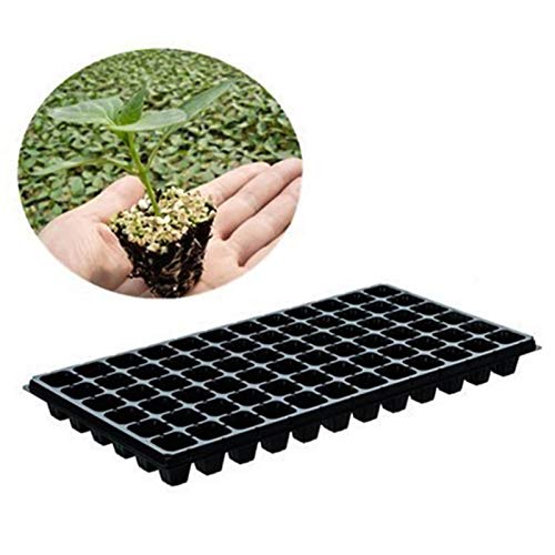 Walbest 5 Pack Plant Germination Trays with Drain Holes, Large Pla...