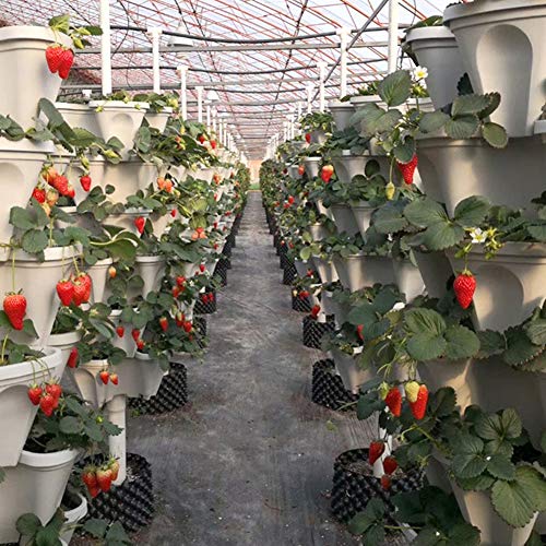 Stackable Vertical Planter Set Strawberry Planting Pots, 6 Tier St...