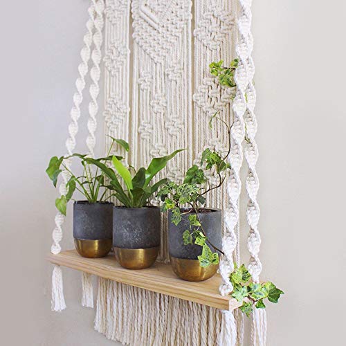 Macrame Wall Hanging Shelf, Indoor Boho Rope Plant Hanger Holder, ...