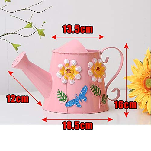 WATERING CAN Gardening Metal Watering Indoor Iron Cute Small Decor...
