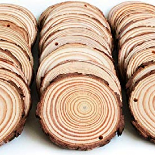 Waveluxe Wood Slices for Crafts 30 Pcs 2.4-2.8 Bark Natural Unfini...