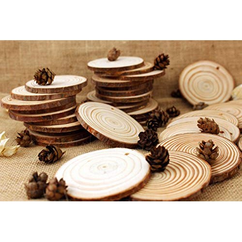 Waveluxe Wood Slices for Crafts 30 Pcs 2.4-2.8 Bark Natural Unfini...