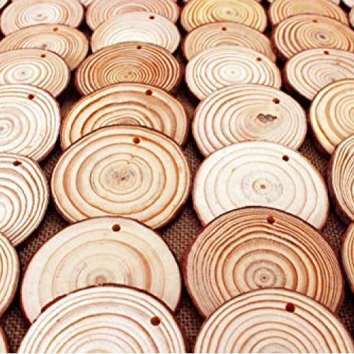 Waveluxe Wood Slices for Crafts 30 Pcs 2.4-2.8 Bark Natural Unfini...