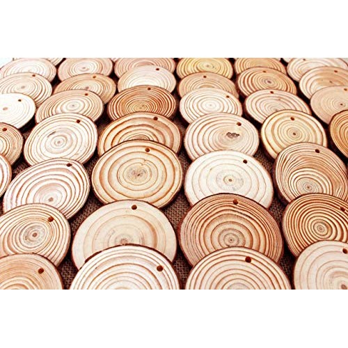 Waveluxe Wood Slices for Crafts 30 Pcs 2.4-2.8 Bark Natural Unfini...