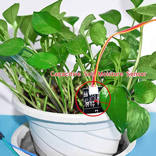 WayinTop Upgrade Automatic Irrigation DIY Kit Self Watering System...