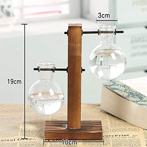 Water Planting Glass Vase,Clear Glass Vase Hanging Plant Terrarium...