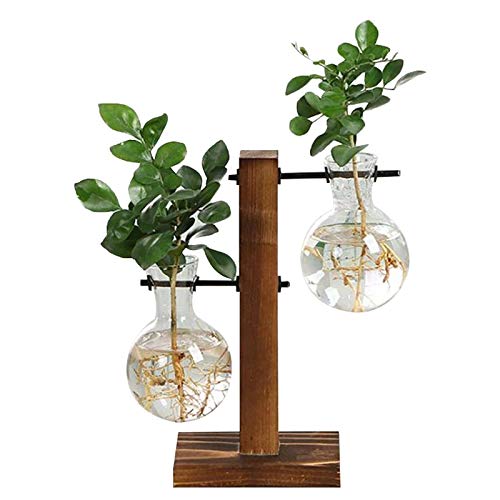 Water Planting Glass Vase,Clear Glass Vase Hanging Plant Terrarium...