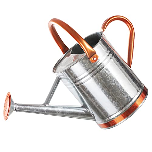 1 Gallon Watering Can for Outdoor and Indoor Plants，Premium Galva...