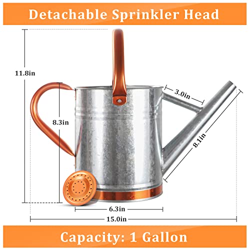 1 Gallon Watering Can for Outdoor and Indoor Plants，Premium Galva...