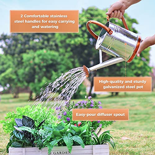 1 Gallon Watering Can for Outdoor and Indoor Plants，Premium Galva...