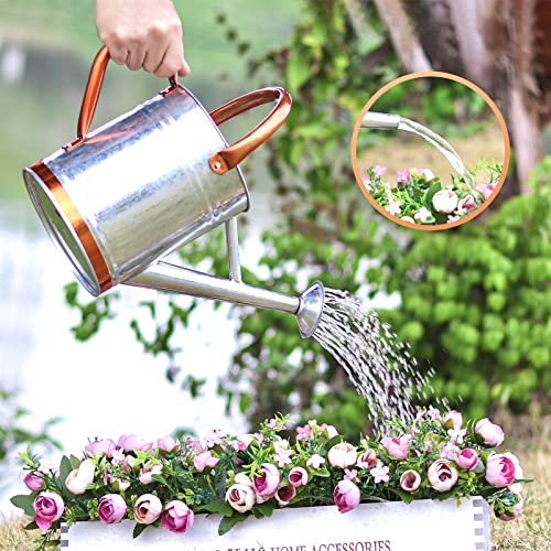 1 Gallon Watering Can for Outdoor and Indoor Plants，Premium Galva...