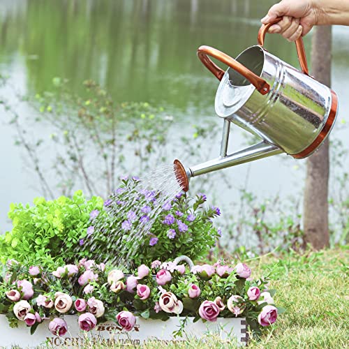 1 Gallon Watering Can for Outdoor and Indoor Plants，Premium Galva...