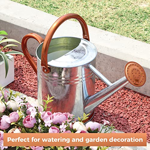1 Gallon Watering Can for Outdoor and Indoor Plants，Premium Galva...