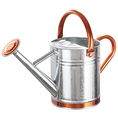1 Gallon Watering Can for Outdoor and Indoor Plants，Premium Galva...