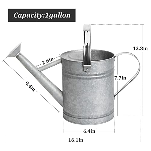 1 Gallon Watering Can for Outdoor Plants，Premium Galvanized Steel...