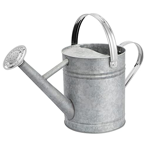 1 Gallon Watering Can for Outdoor Plants，Premium Galvanized Steel...