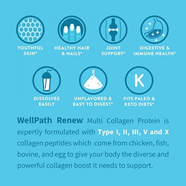RENEW Multi Collagen Protein Powder - Premium Blend of Hydrolyzed ...