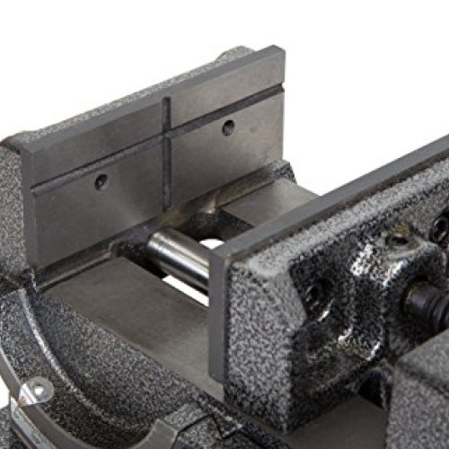 WEN 434TV 4.25-Inch Industrial Strength Benchtop and Drill Press T...