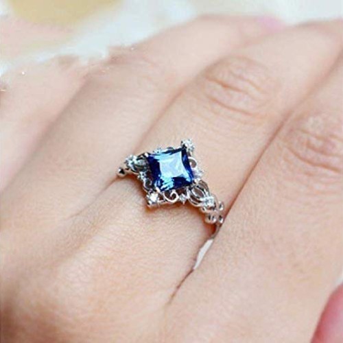 Wenbin Fashion Jewelry 925 Sterling Silver Princess Pattern Sapphi...