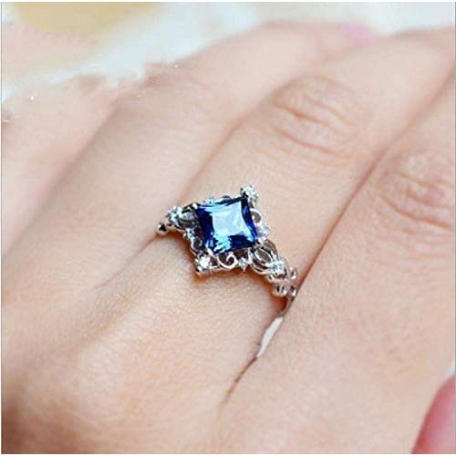 Wenbin Fashion Jewelry 925 Sterling Silver Princess Pattern Sapphi...