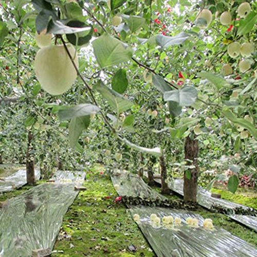 Wendysy Garden Reflective Sheet, Mylar Film Plant Reflective Film ...