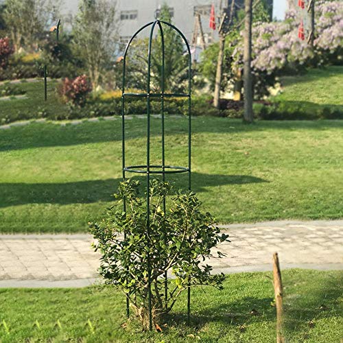 Wendysy Garden Trellis Plant Support,Plant Climbing Support Stake ...