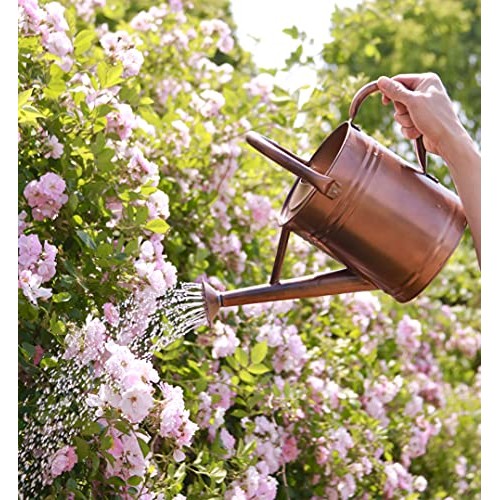 WEQUALITY Copper Colored Watering Can for Outdoor Plants，1 Gallon...