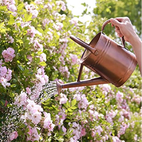 WEQUALITY Copper Colored Watering Can for Outdoor Plants，1 Gallon...
