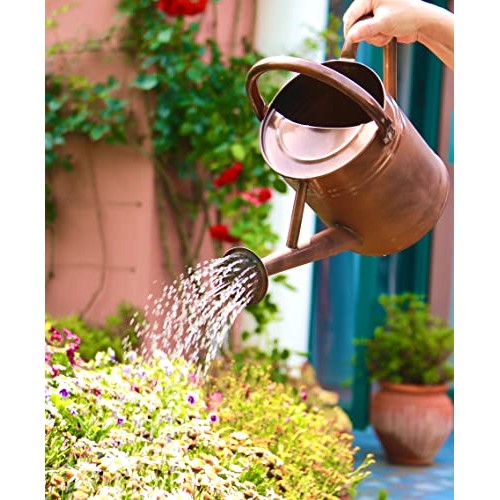 WEQUALITY Copper Colored Watering Can for Outdoor Plants，1 Gallon...