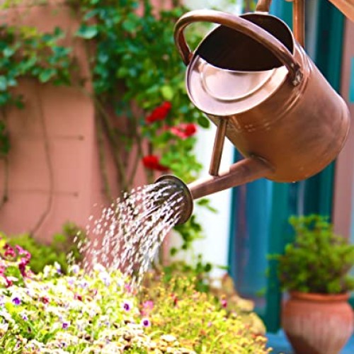 WEQUALITY Copper Colored Watering Can for Outdoor Plants，1 Gallon...