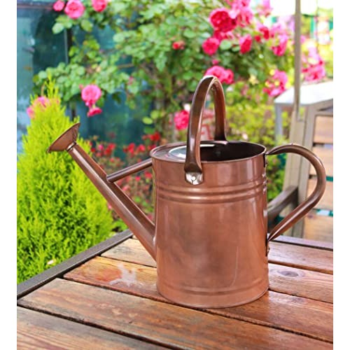 WEQUALITY Copper Colored Watering Can for Outdoor Plants，1 Gallon...