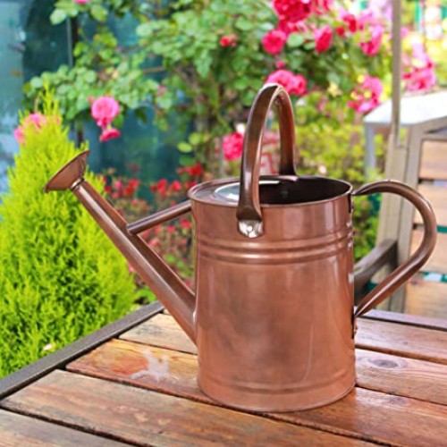 WEQUALITY Copper Colored Watering Can for Outdoor Plants，1 Gallon...