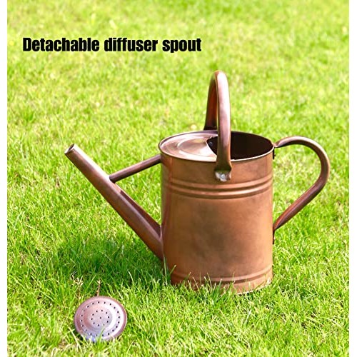 WEQUALITY Copper Colored Watering Can for Outdoor Plants，1 Gallon...