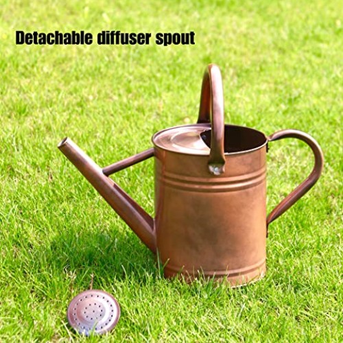 WEQUALITY Copper Colored Watering Can for Outdoor Plants，1 Gallon...