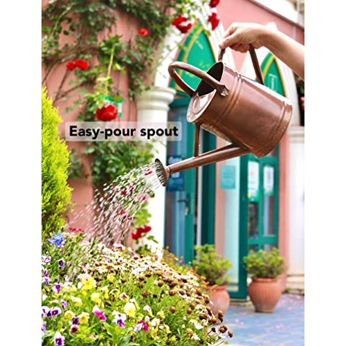WEQUALITY Copper Colored Watering Can for Outdoor Plants，1 Gallon...
