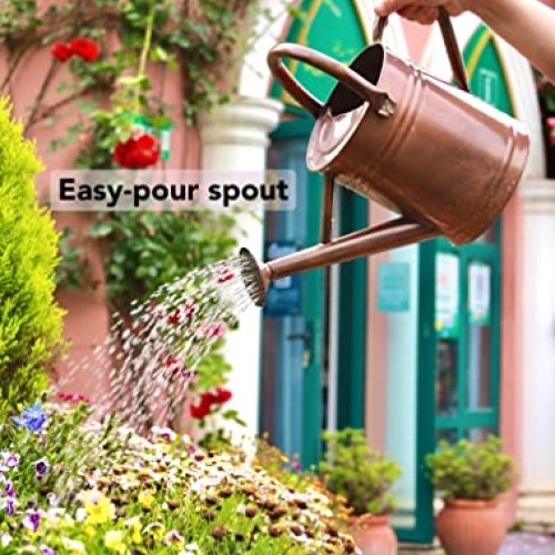 WEQUALITY Copper Colored Watering Can for Outdoor Plants，1 Gallon...