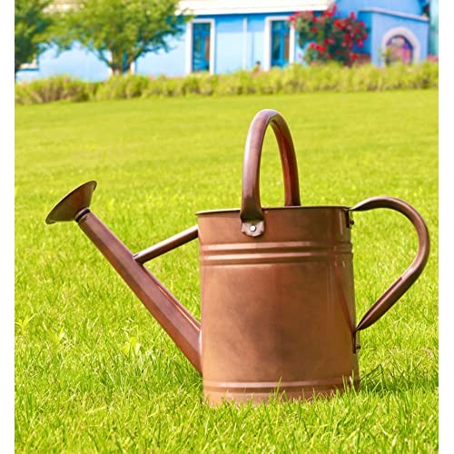 WEQUALITY Copper Colored Watering Can for Outdoor Plants，1 Gallon...