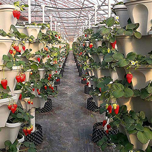 Stackable Garden,Indoor Outdoor Vertical Planter, Stackable Vertic...