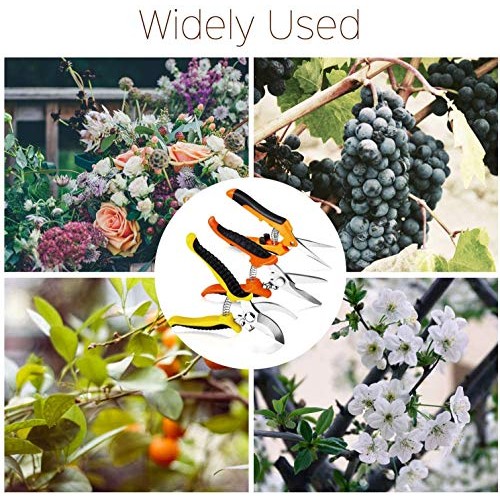 3 Pack Garden Pruning Shears Stainless Steel Blades Handheld Prune...