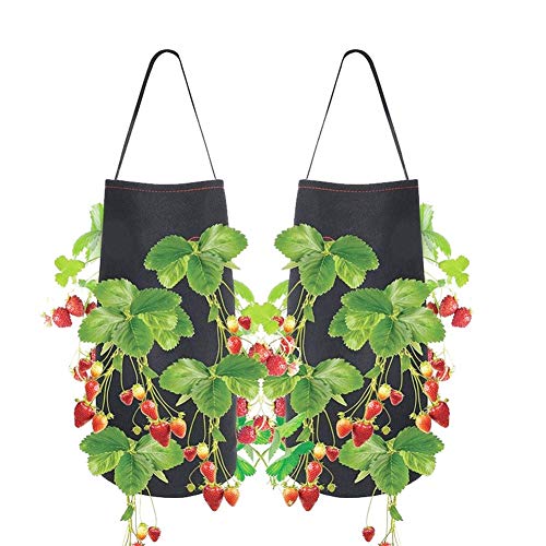 Wgd Daizi 1pc Hanging Strawberry Planting Bags, Non-Woven Strawber...