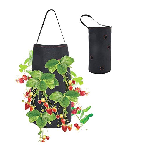 Wgd Daizi 1pc Hanging Strawberry Planting Bags, Non-Woven Strawber...