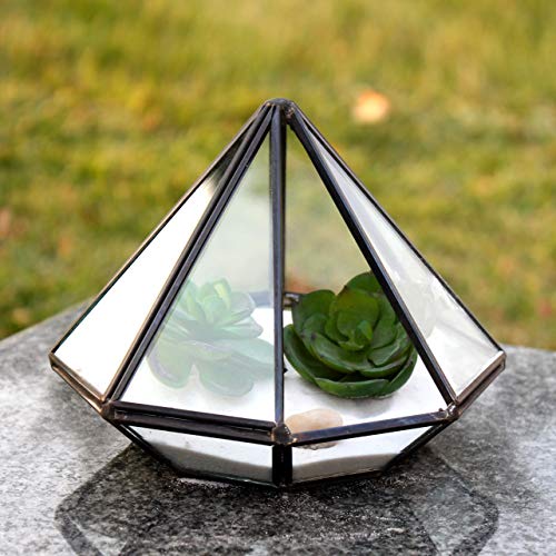WGV Geometric Planter Terrarium, Width 5.3 Height 6 Clear Glass ...